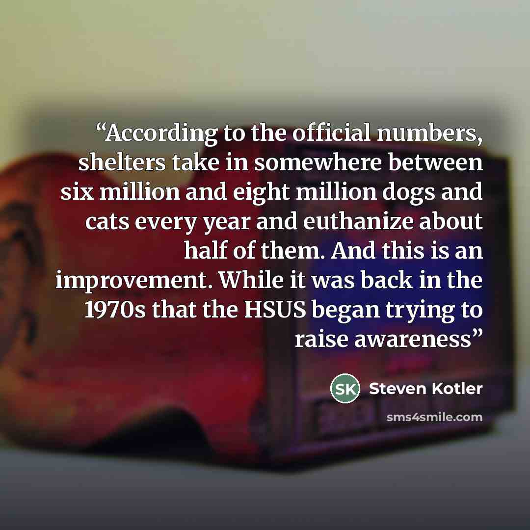 “According to the official numbers, shelters take in somewhere between six million and eight million dogs and cats every year and euthanize about half of them. And this is an improvement. While it was back in the 1970s that the HSUS began trying to raise awareness” quote by Steven Kotler