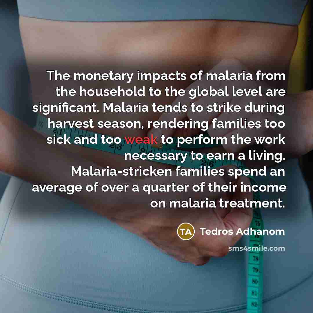 “The monetary impacts of malaria from the household to the…” quote by Tedros Adhanom