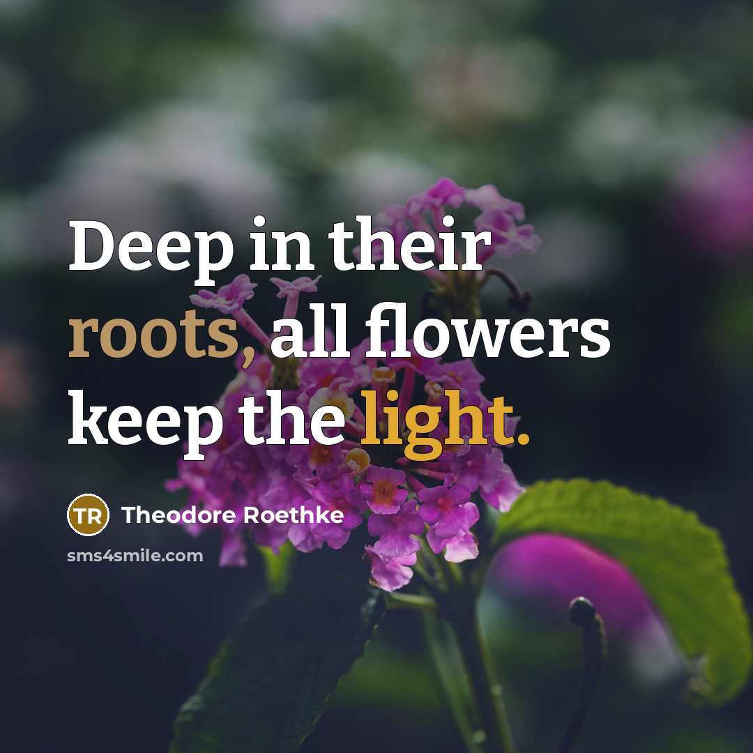 “Deep in their roots, all flowers keep the light.” quote by Theodore Roethke