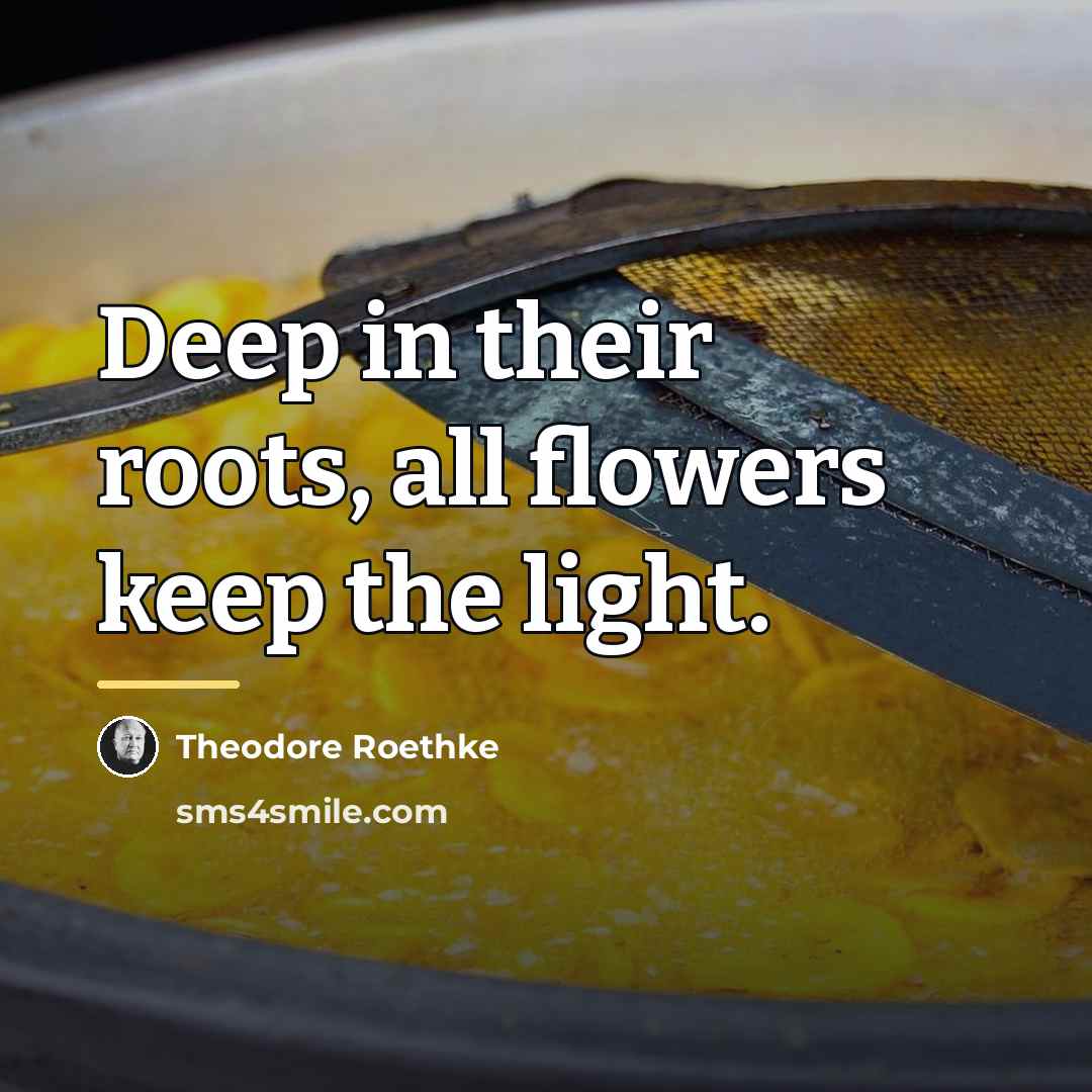 “Deep in their roots, all flowers keep the light.…” quote by Theodore Roethke