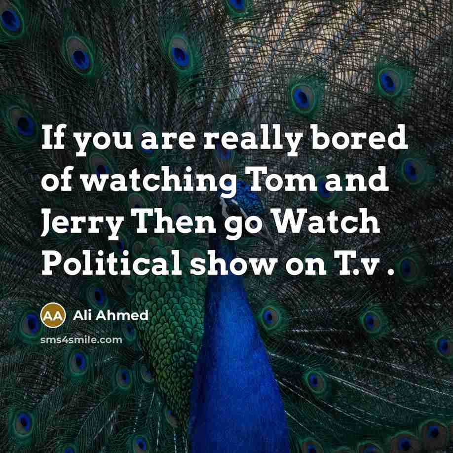 “If you are really bored of watching Tom and Jerry Then go Watch Political show on T.v .” quote by Ali Ahmed