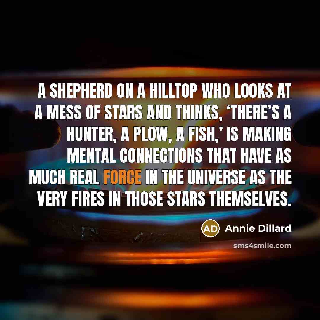 “A shepherd on a hilltop who looks at a mess…” quote by Annie Dillard