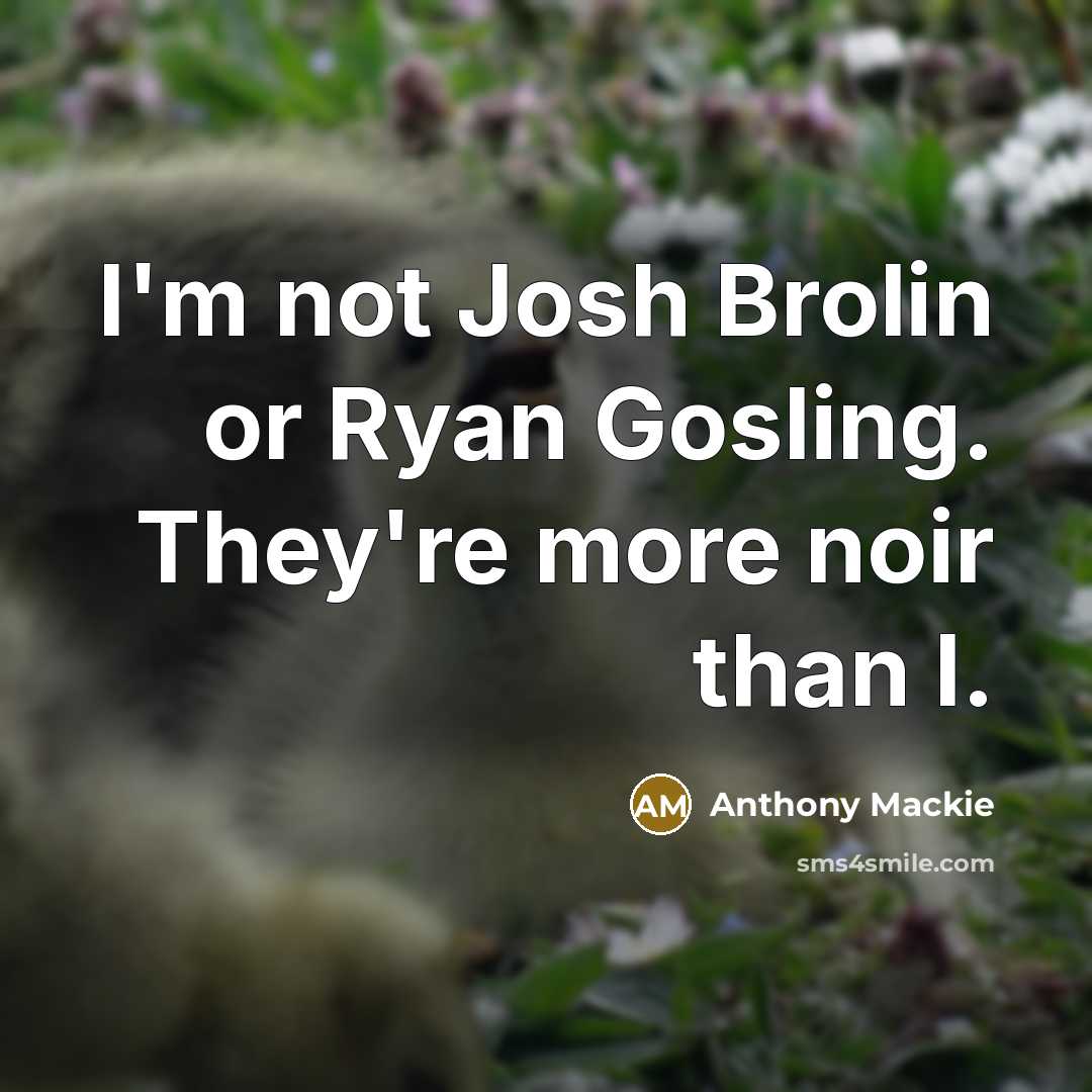 “I'm not Josh Brolin or Ryan Gosling. They're more noir…” quote by Anthony Mackie