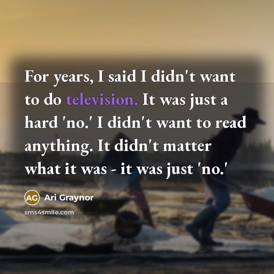 “For years, I said I didn't want to do television.…” quote by Ari Graynor