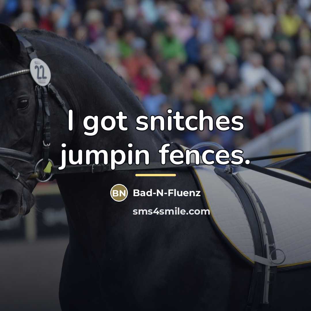 “I got snitches jumpin fences.…” quote by Bad-N-Fluenz