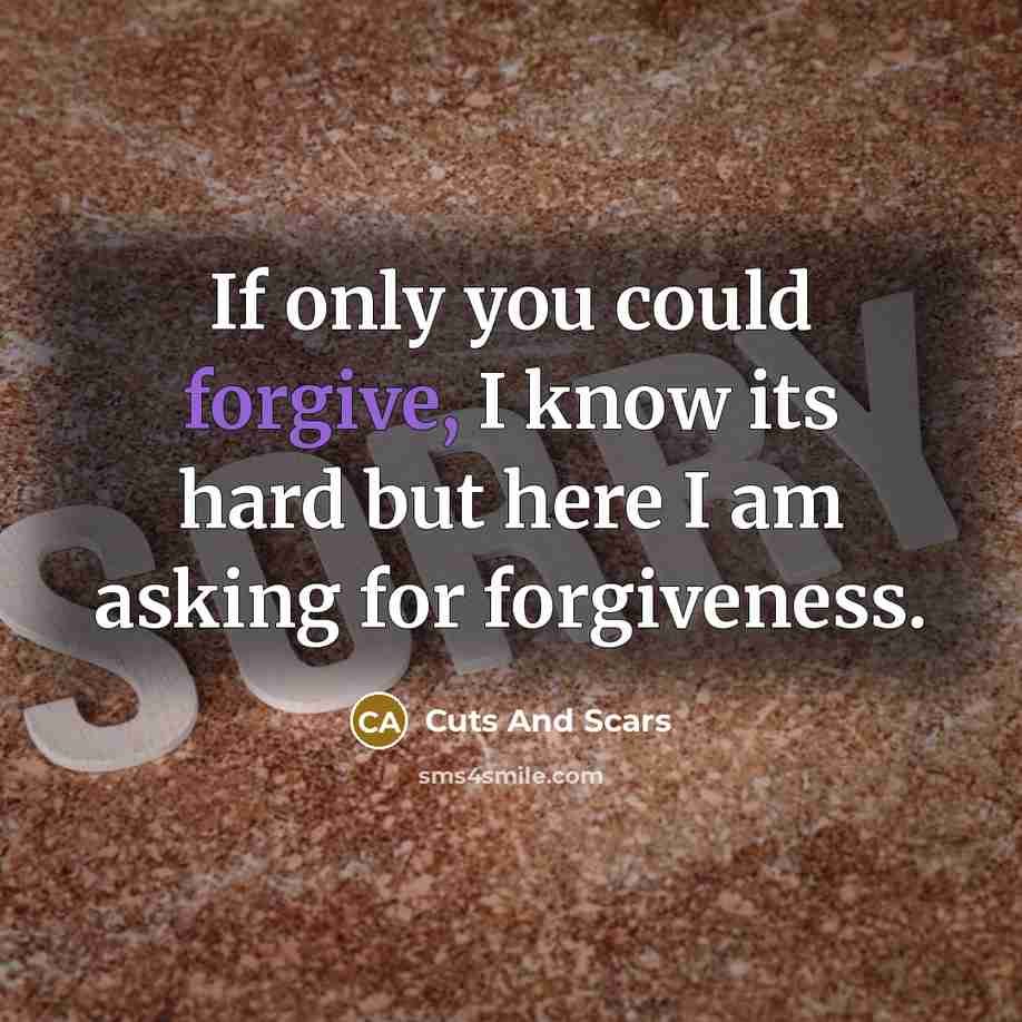 “If only you could forgive, I know its hard but…” quote by Cuts And Scars