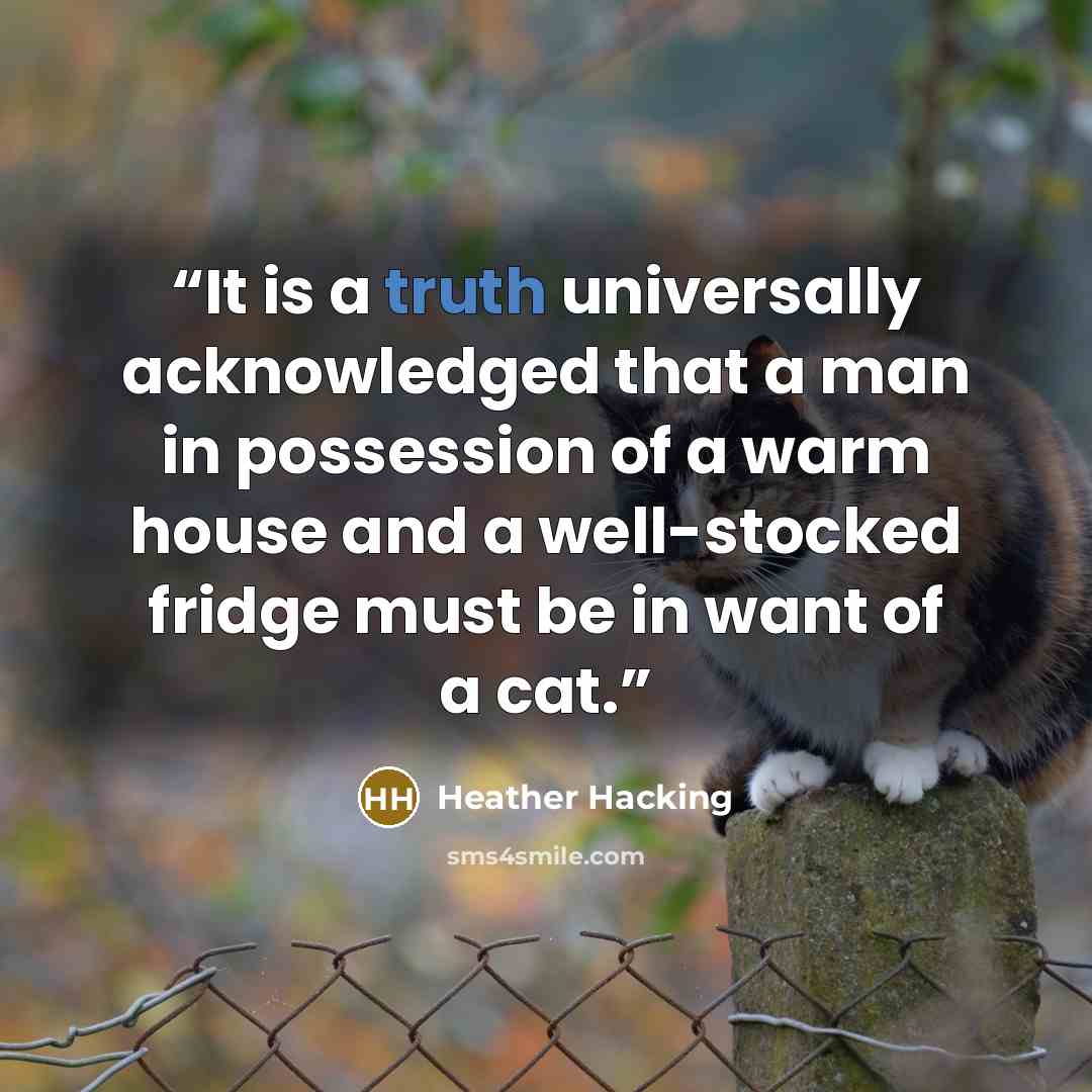 “It is a truth universally acknowledged that a man in possession of a warm house and a well-stocked fridge must be in want of a cat.” quote by Heather Hacking
