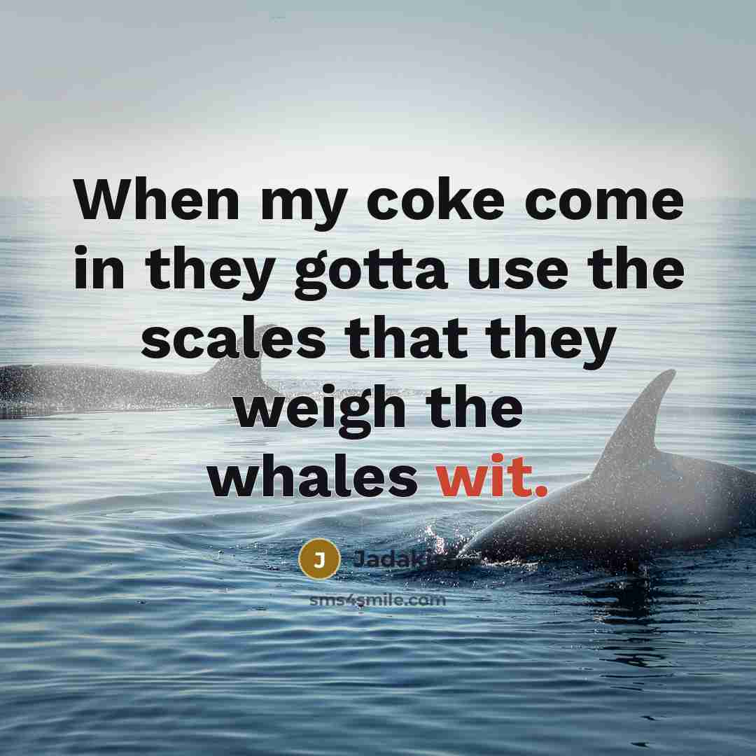 “When my coke come in they gotta use the scales…” quote by Jadakiss
