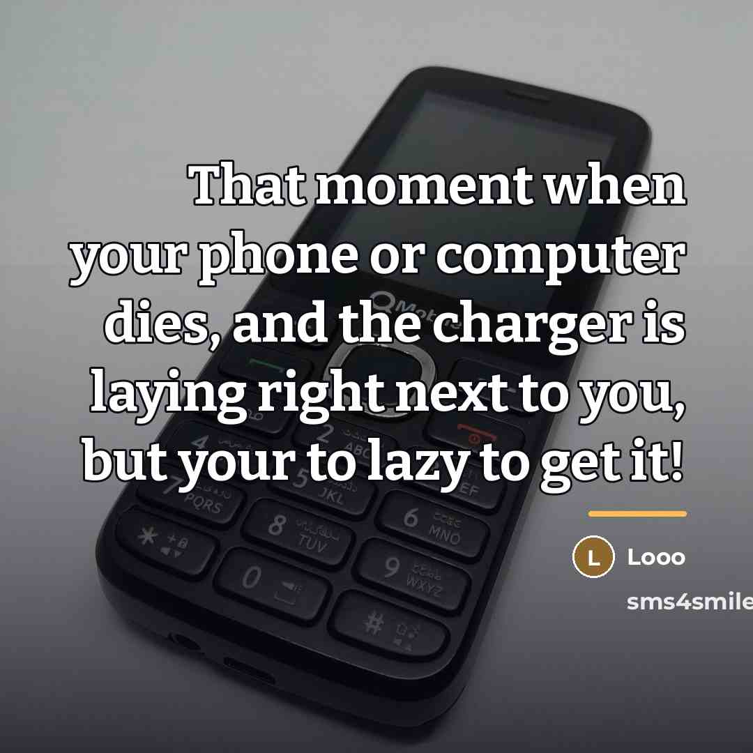 “That moment when your phone or computer dies, and the…” quote by Looo