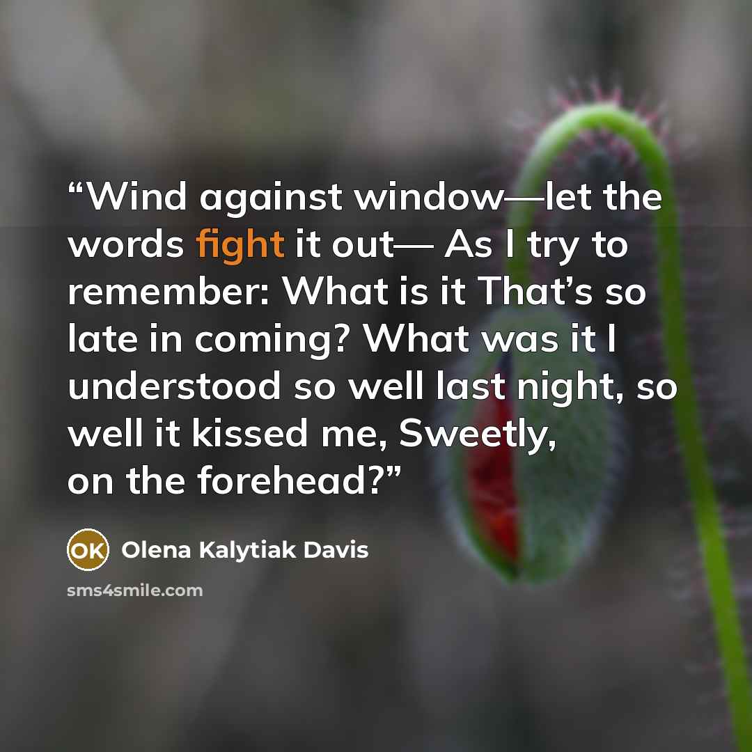 “Wind against window—let the words fight it out— As I try to remember: What is it That’s so late in coming? What was it I understood so well last night, so well it kissed me, Sweetly, on the forehead?” quote by Olena Kalytiak Davis