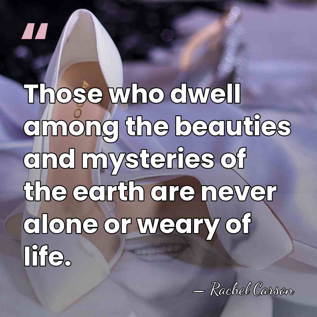 Those who dwell among the beauties and mysteries of the earth are&hellip; - Rachel Carson