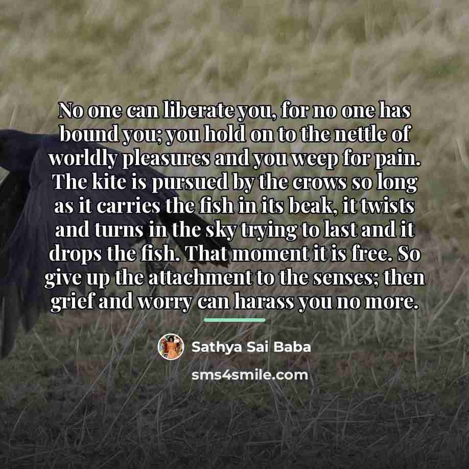 “No one can liberate you, for no one has bound…” quote by Sathya Sai Baba