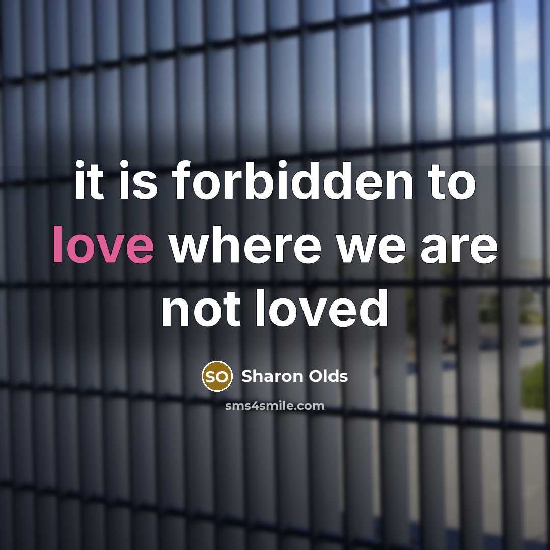 “it is forbidden to love where we are not loved…” quote by Sharon Olds