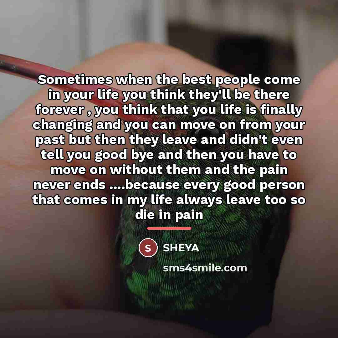 “Sometimes when the best people come in your life you…” quote by SHEYA
