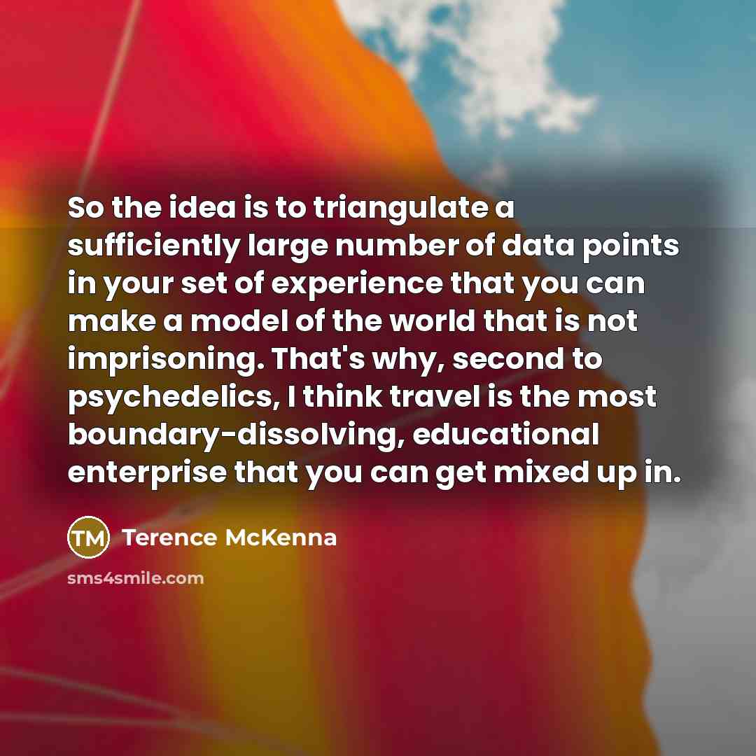 “So the idea is to triangulate a sufficiently large number…” quote by Terence McKenna