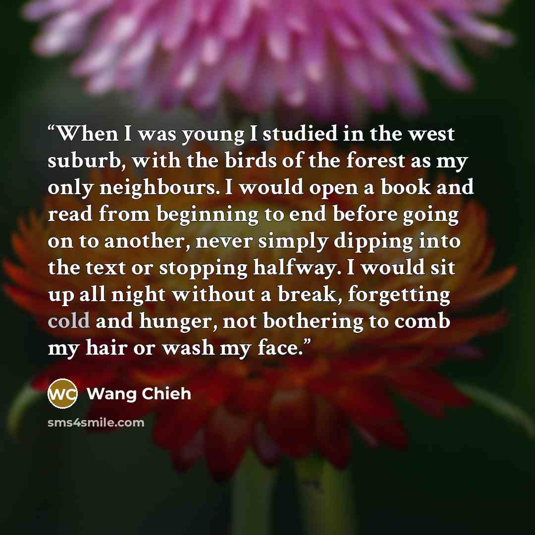 “When I was young I studied in the west suburb, with the birds of the forest as my only neighbours. I would open a book and read from beginning to end before going on to another, never simply dipping into the text or stopping halfway. I would sit up all night without a break, forgetting cold and…” quote by Wang Chieh