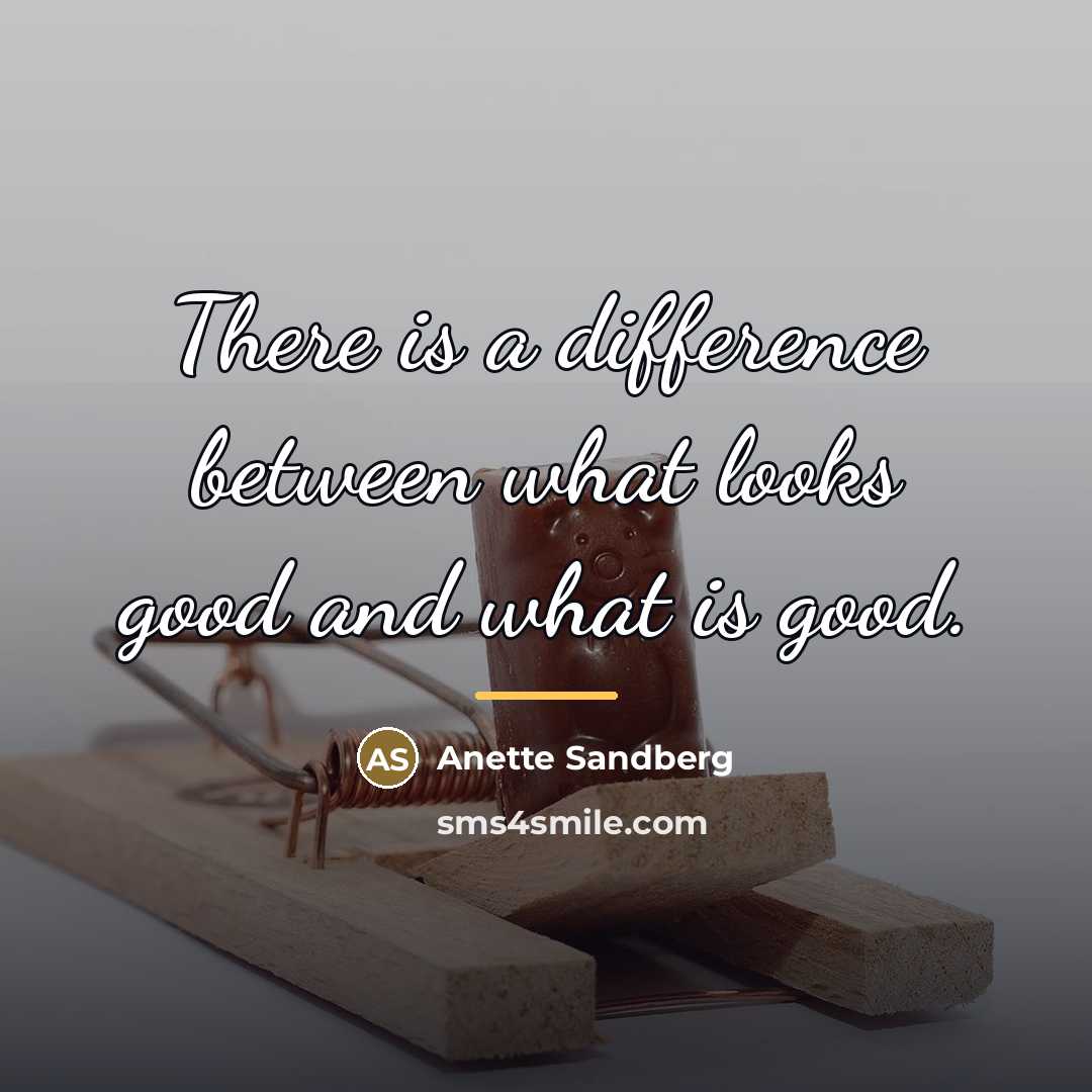 “There is a difference between what looks good and what…” quote by Anette Sandberg