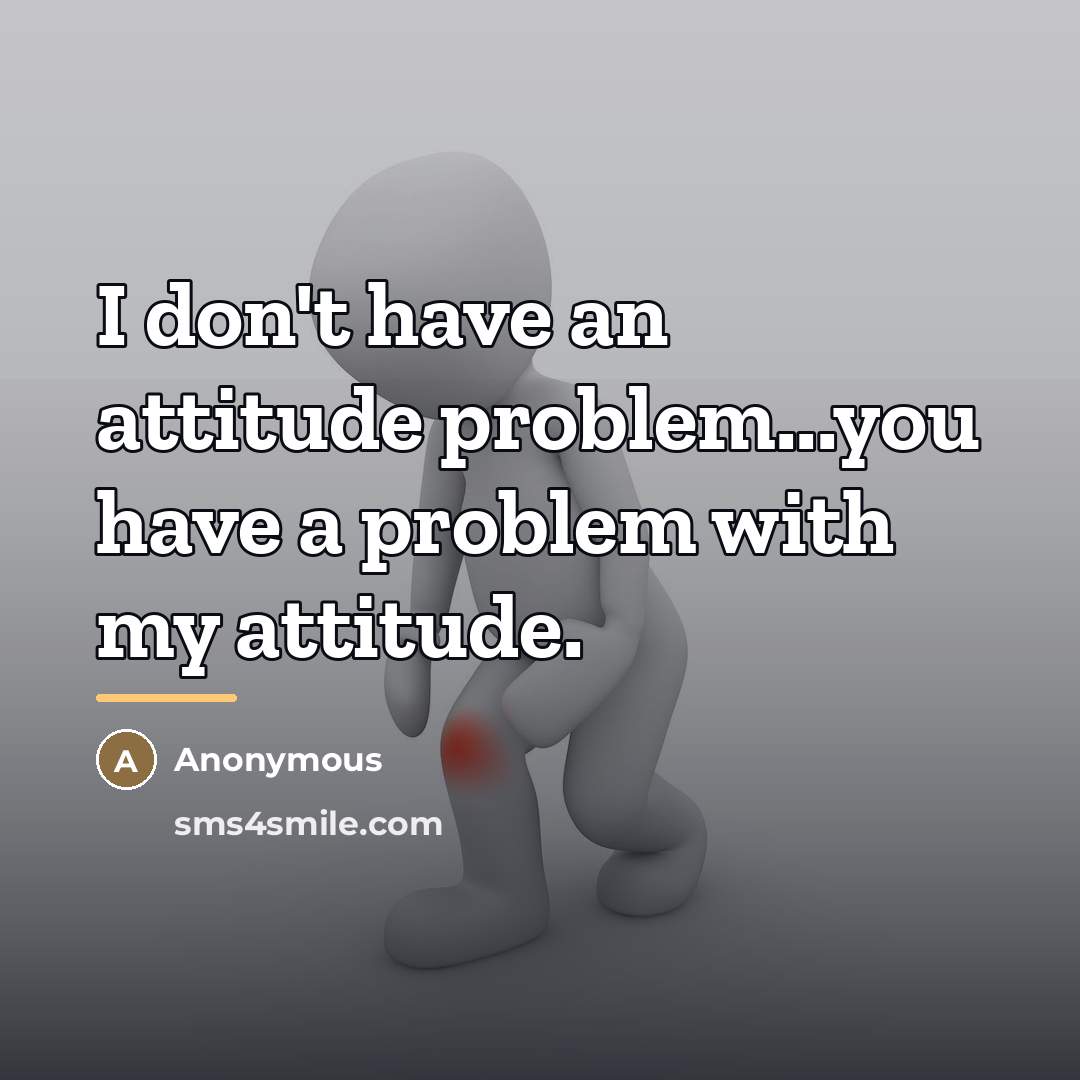 “I don't have an attitude problem...you have a problem with…” quote by Anonymous