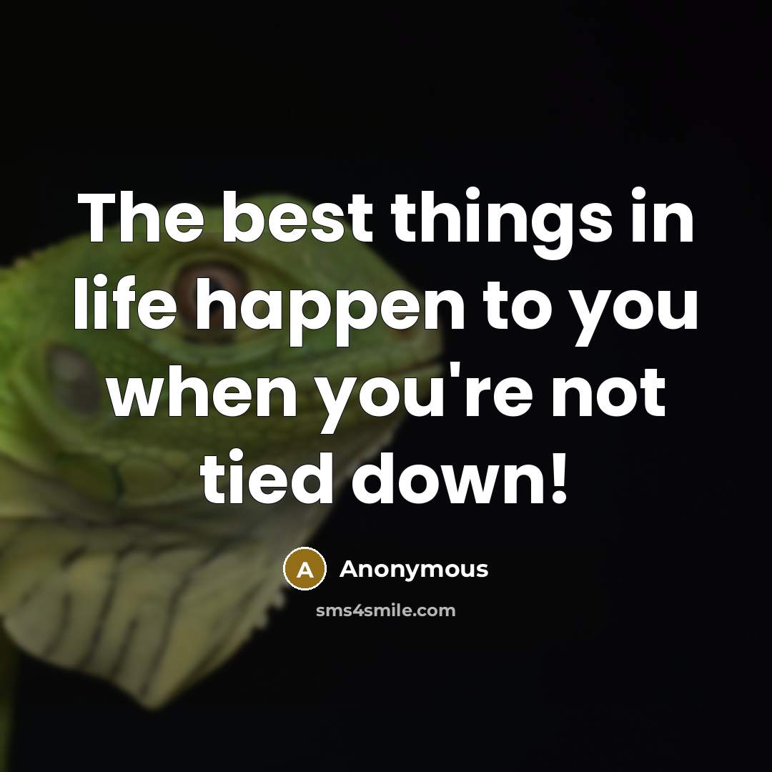 “The best things in life happen to you when you're not tied down!” quote by Anonymous