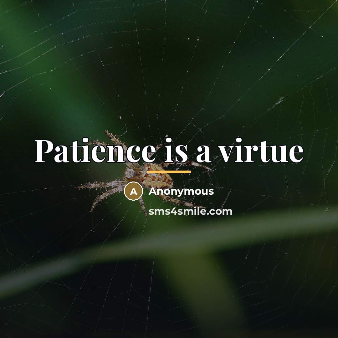 “Patience is a virtue…” quote by Marquita Fancher