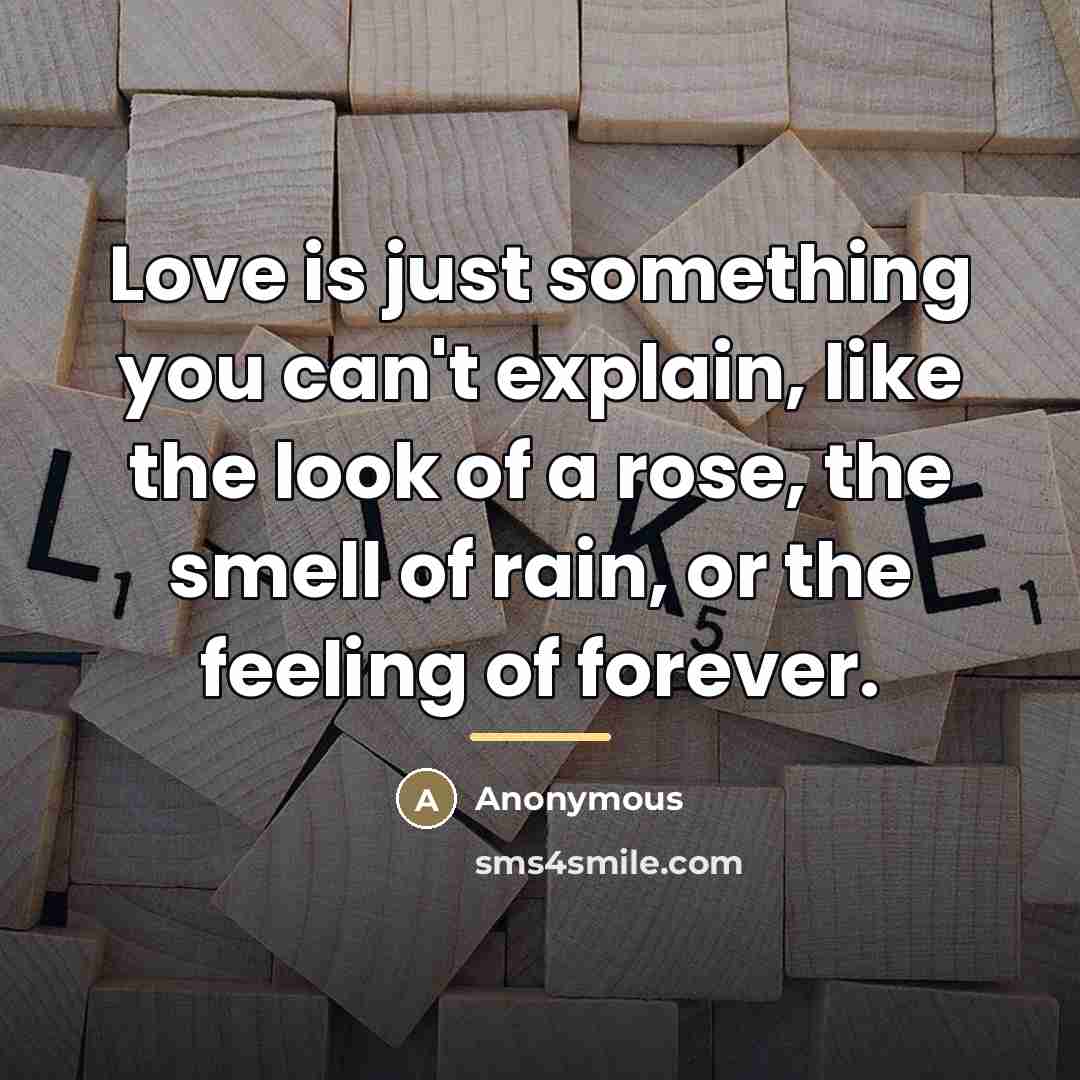 “Love is just something you can't explain, like the look…” quote by Anonymous