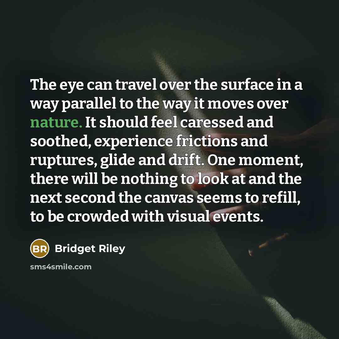 “The eye can travel over the surface in a way…” quote by Bridget Riley