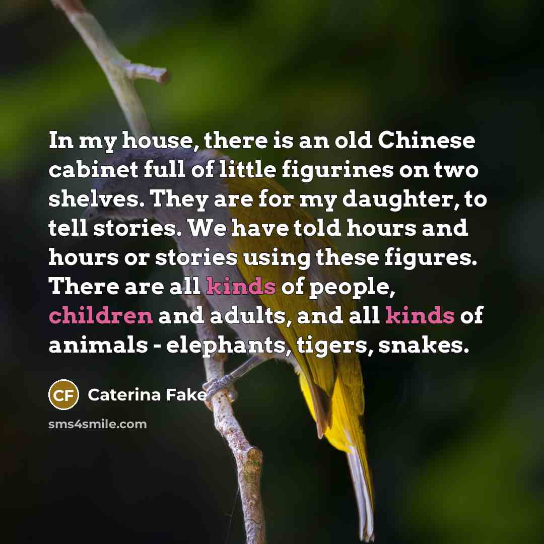 “In my house, there is an old Chinese cabinet full…” quote by Caterina Fake