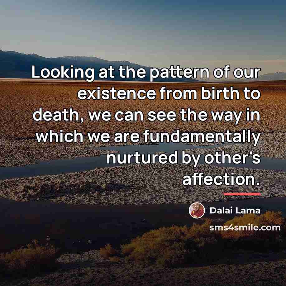 “Looking at the pattern of our existence from birth to…” quote by Dalai Lama
