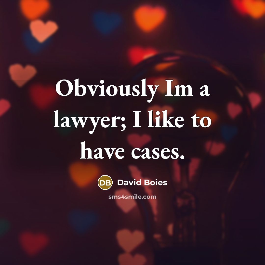 “Obviously Im a lawyer; I like to have cases.…” quote by David Boies