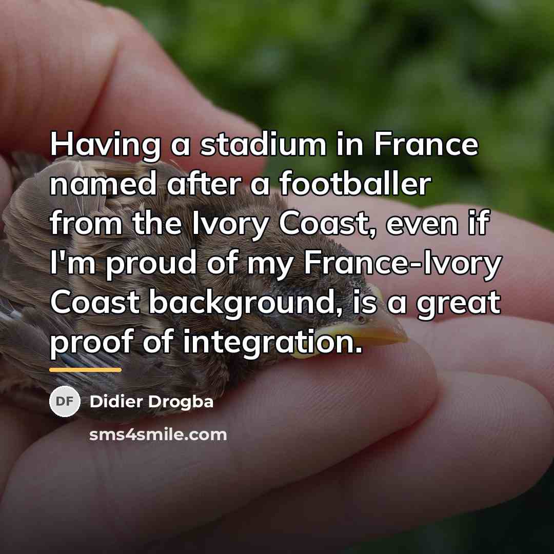 “Having a stadium in France named after a footballer from…” quote by Didier Drogba