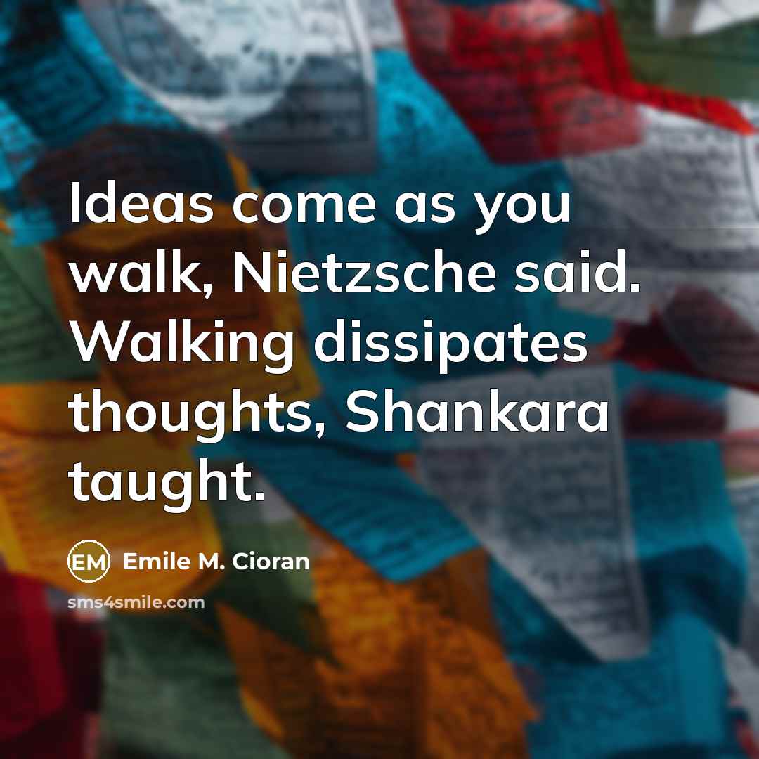 “Ideas come as you walk, Nietzsche said. Walking dissipates thoughts,…” quote by Emile M. Cioran