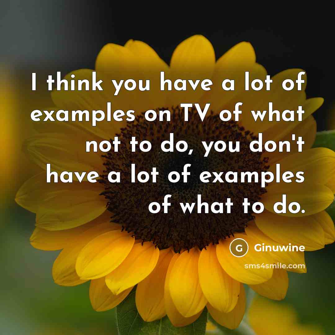 “I think you have a lot of examples on TV…” quote by Ginuwine