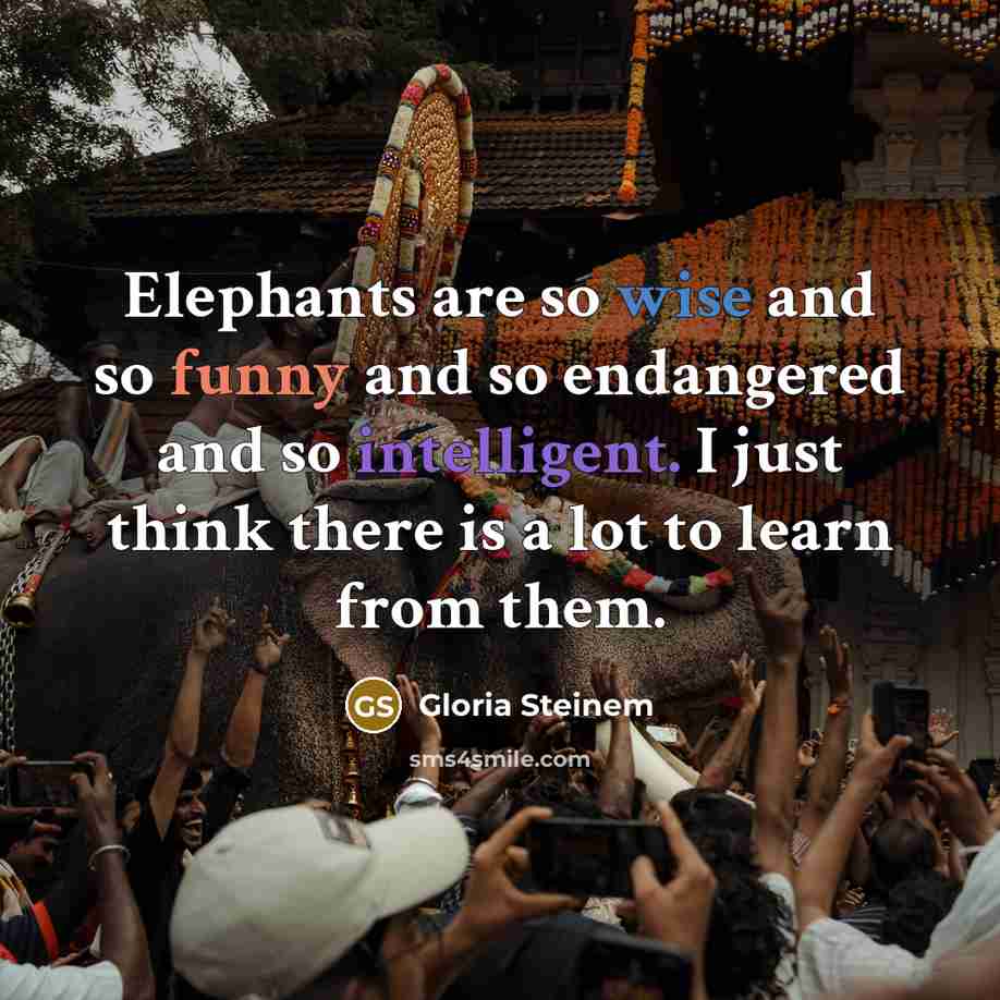 “Elephants are so wise and so funny and so endangered…” quote by Gloria Steinem