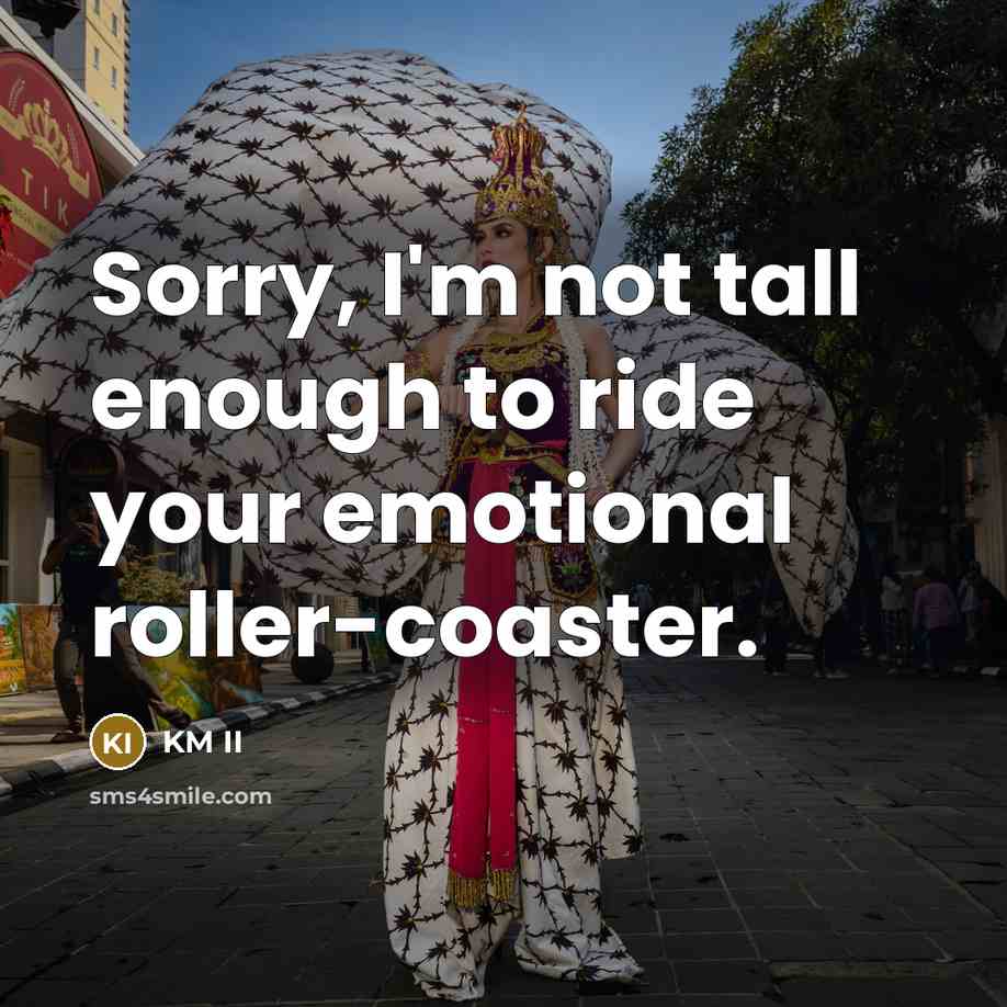 “Sorry, I'm not tall enough to ride your emotional roller-coaster.…” quote by KM II