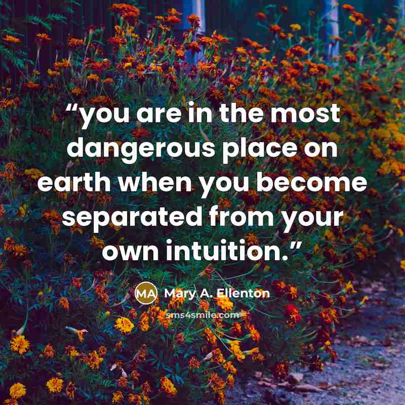 “you are in the most dangerous place on earth when you become separated from your own intuition.” quote by Mary A. Ellenton