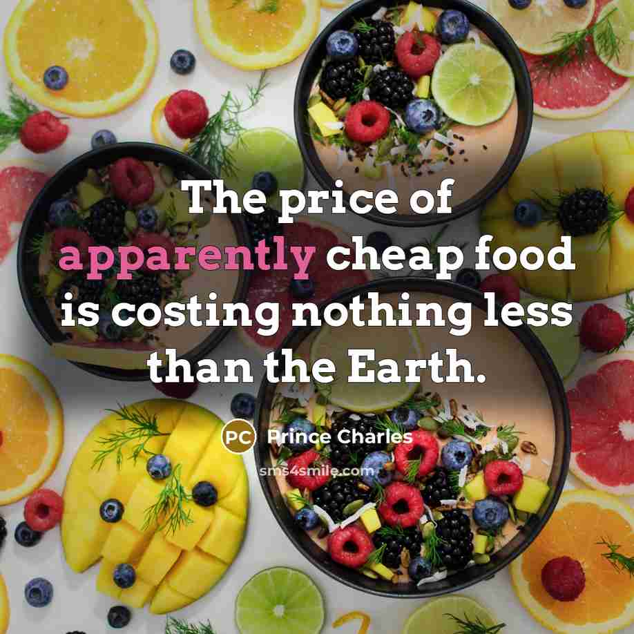 “The price of apparently cheap food is costing nothing less…” quote by Prince Charles