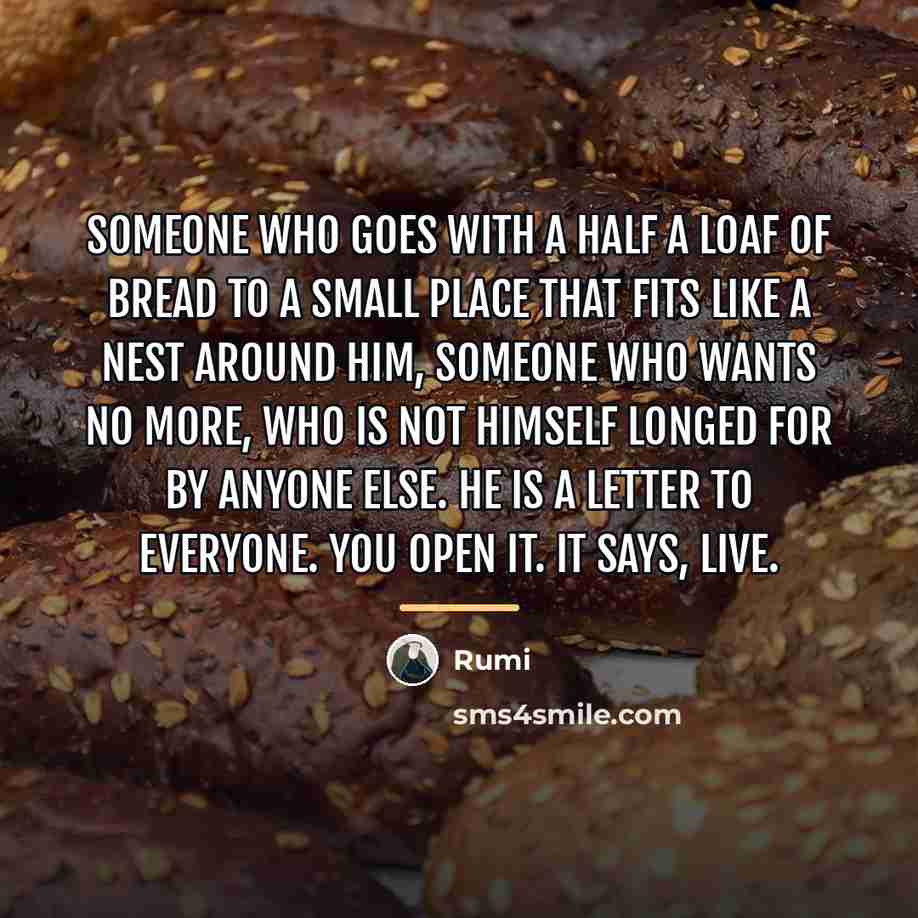 “Someone who goes with a half a loaf of bread…” quote by Rumi