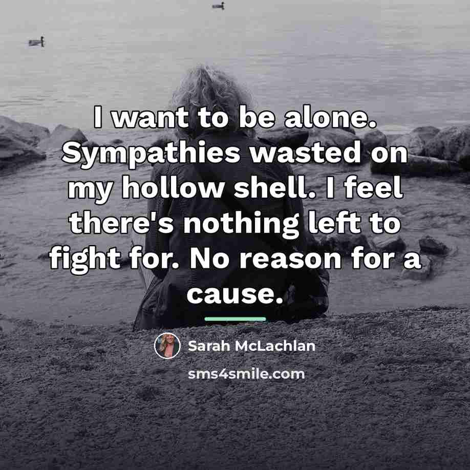 “I want to be alone. Sympathies wasted on my hollow…” quote by Sarah McLachlan