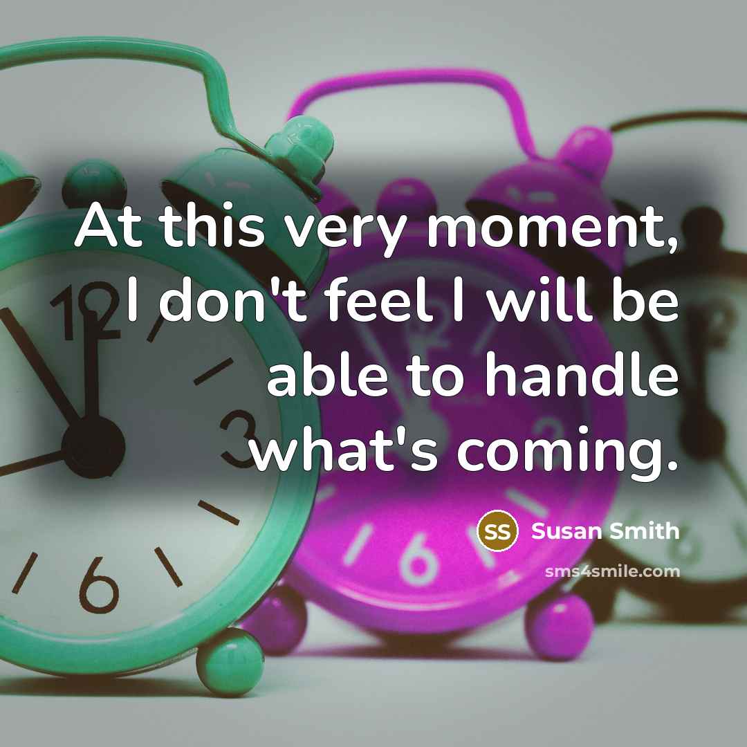 “At this very moment, I don't feel I will be…” quote by Susan Smith