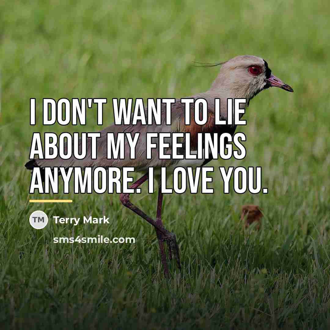 “I don't want to lie about my feelings anymore. I…” quote by Terry Mark