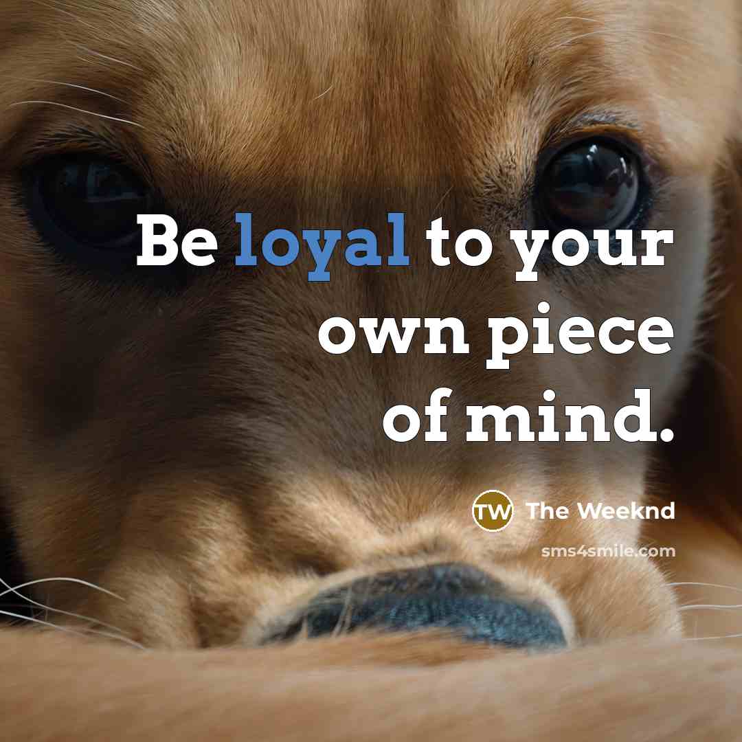“Be loyal to your own piece of mind.…” quote by The Weeknd