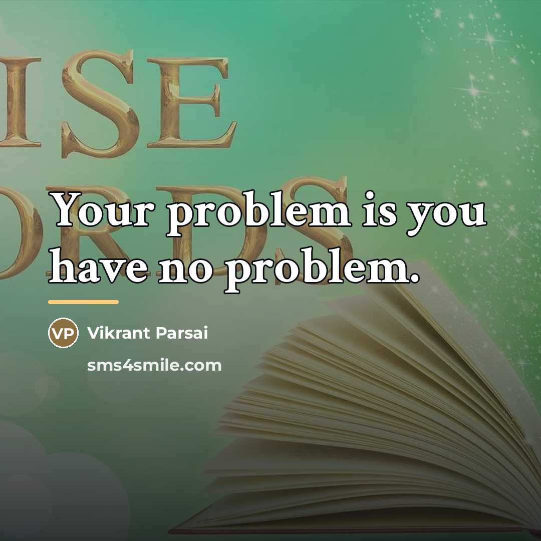“Your problem is you have no problem.…” quote by Vikrant Parsai