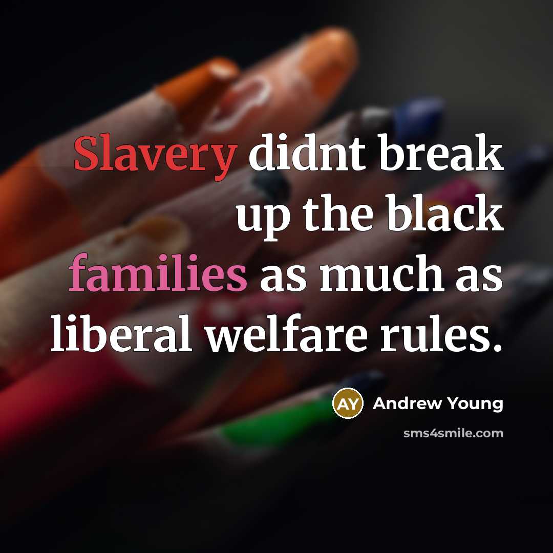 “Slavery didnt break up the black families as much as…” quote by Andrew Young