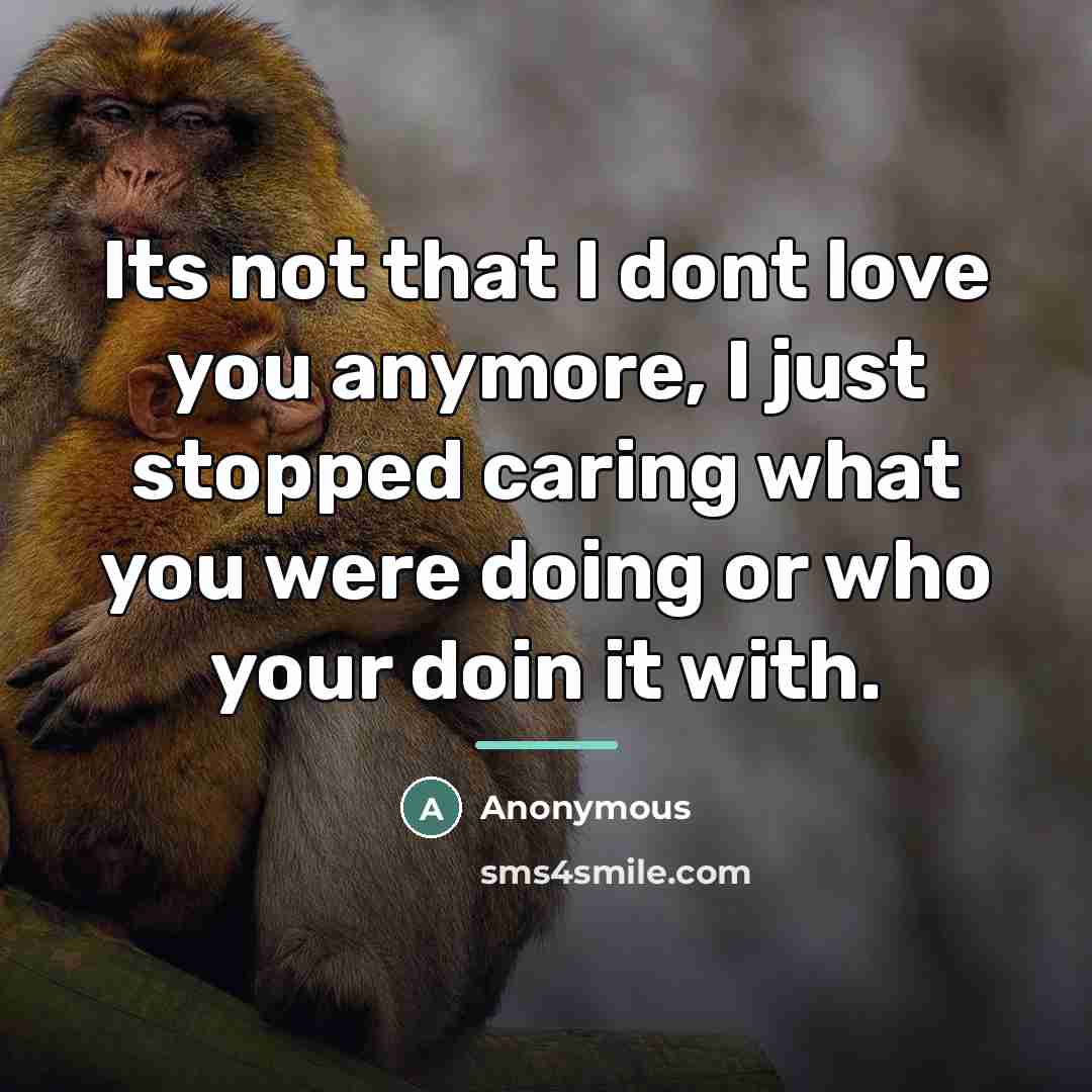 “Its not that I dont love you anymore, I just…” quote by Anonymous