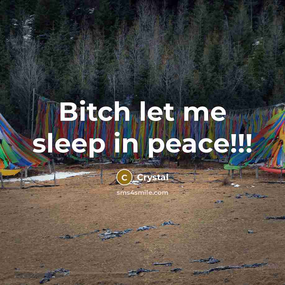 “Bitch let me sleep in peace!!!…” quote by Crystal