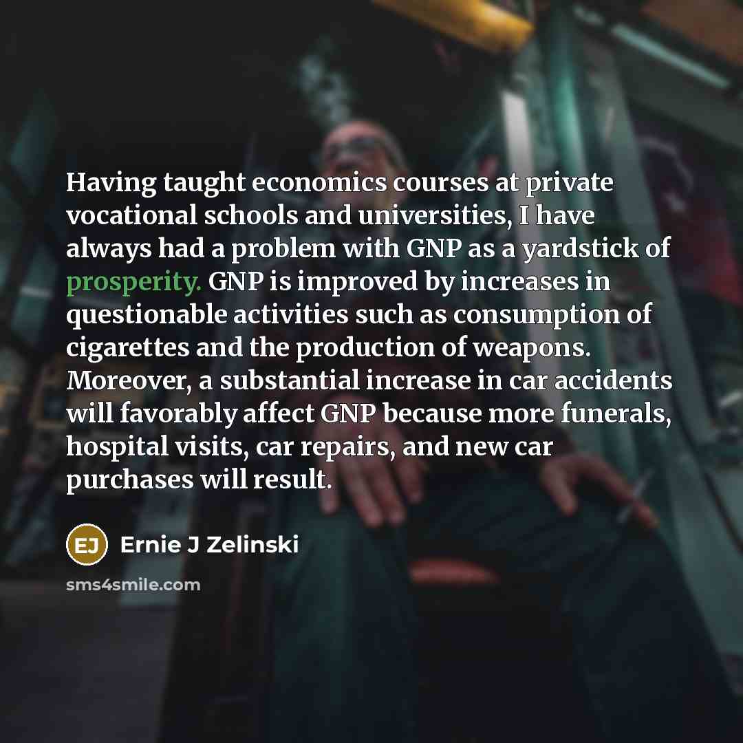 “Having taught economics courses at private vocational schools and universities,…” quote by Ernie J Zelinski