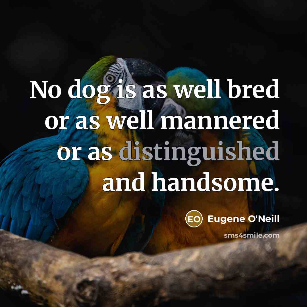 “No dog is as well bred or as well mannered or as distinguished and handsome.” quote by Eugene O'Neill