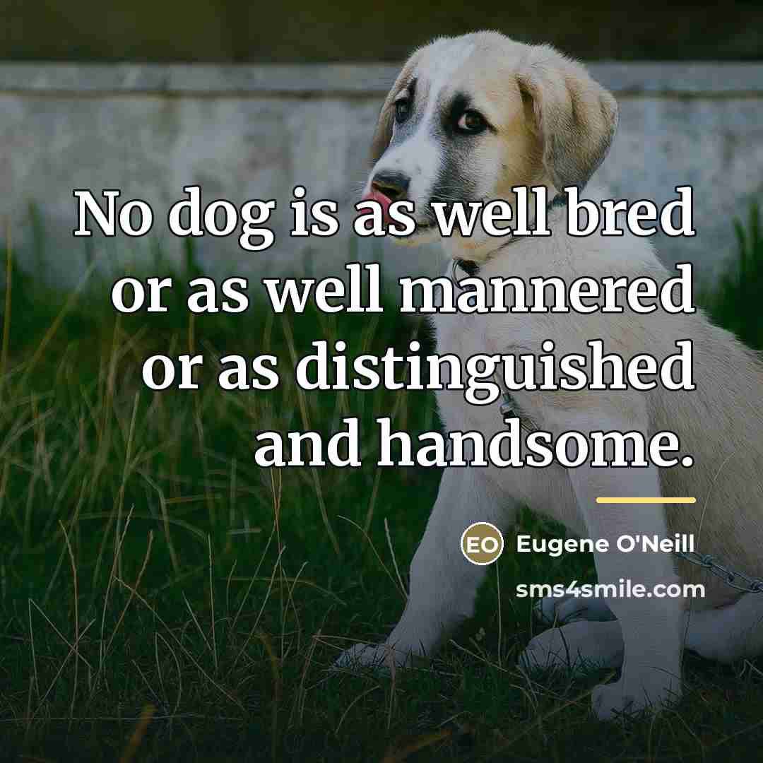 “No dog is as well bred or as well mannered…” quote by Eugene O'Neill