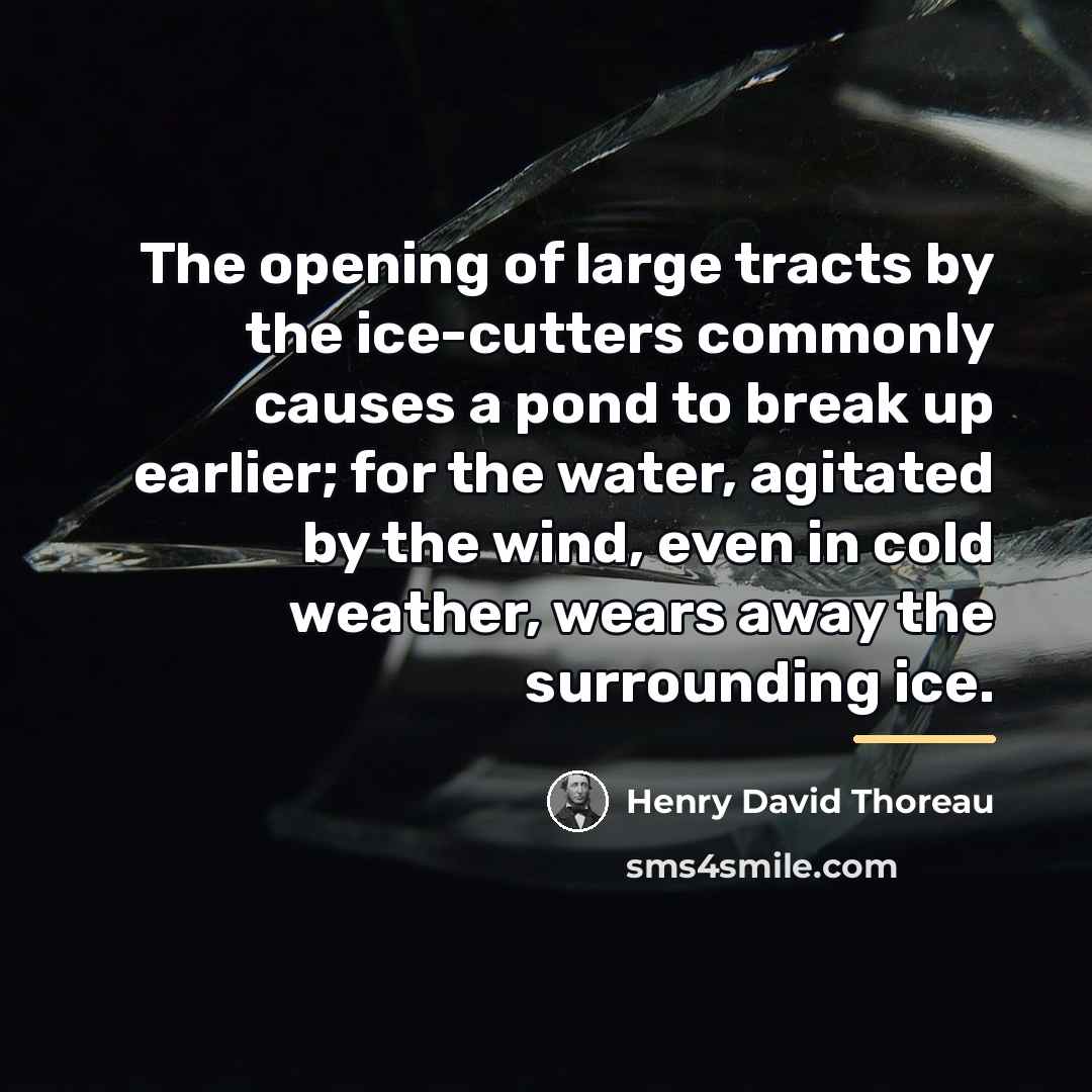 “The opening of large tracts by the ice-cutters commonly causes…” quote by Henry David Thoreau