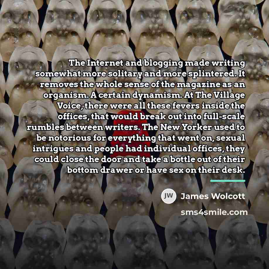 “The Internet and blogging made writing somewhat more solitary and…” quote by James Wolcott